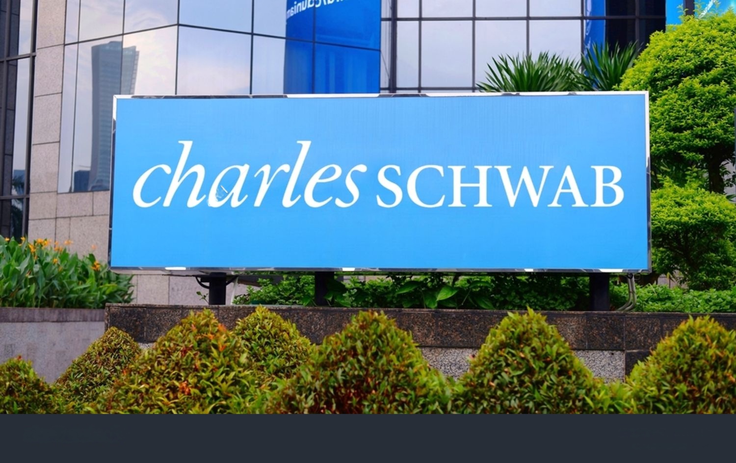 SKN | Charles Schwab Earns Zacks Strong Buy Rating on Improving Earnings Outlook