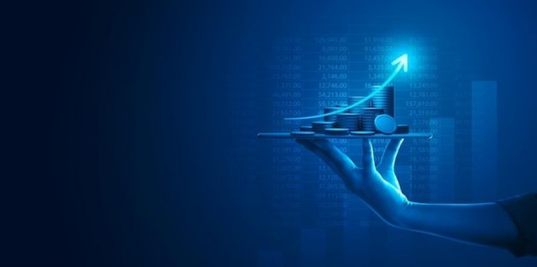 Customized Financial Solutions
