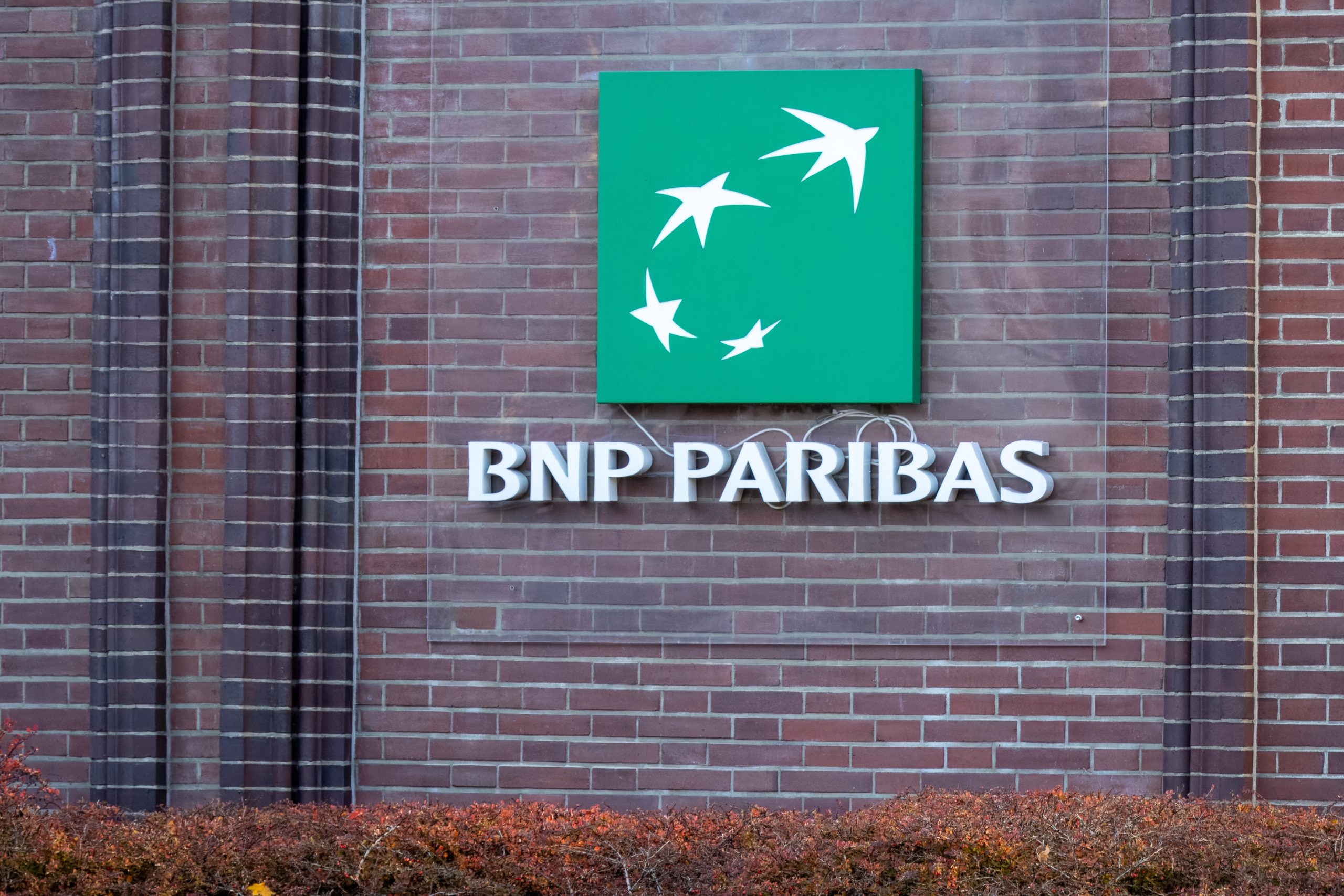SKN | BNP Paribas’ Umicore Stake: Governance Signal or Tactical Positioning?