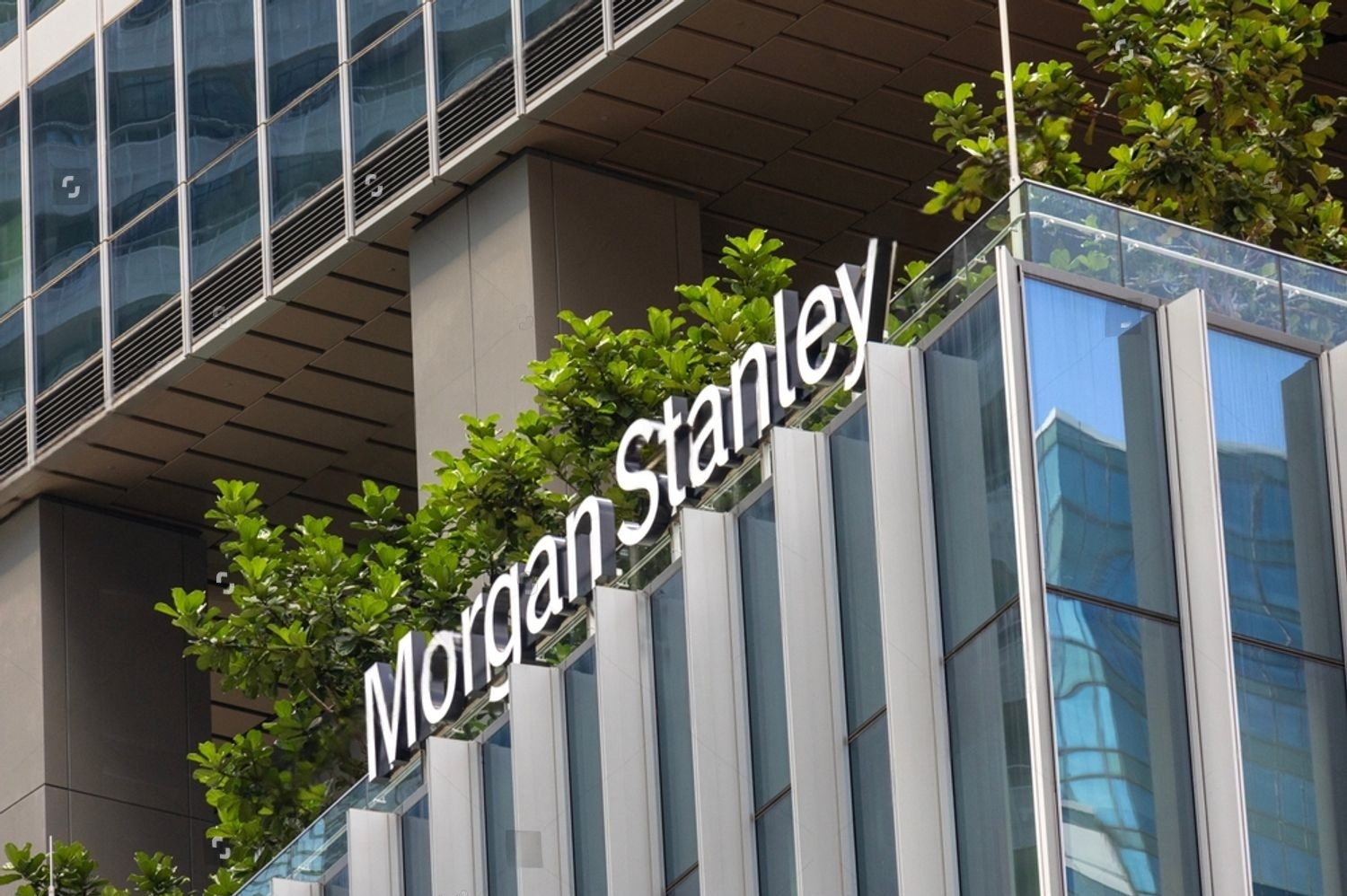 SKN | Morgan Stanley Trims O’Reilly Target to $108 as Cost Pressures Weigh on EPS