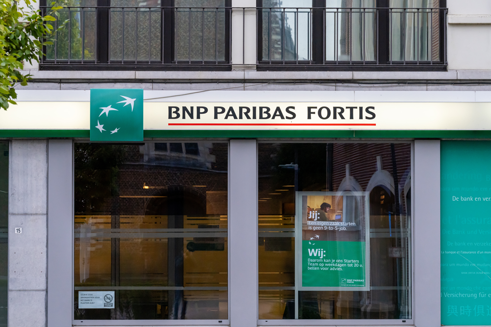 SKN | BNP Paribas Valuation Remains Attractive Despite Recent Share Price Consolidation