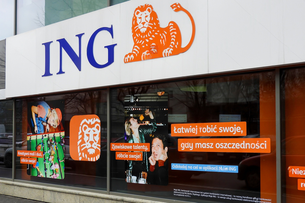 SKN | ING’s Recent Share Price Cooling Creates a More Important Question Than Market Timing: Is the Valuation Becoming Compelling?
