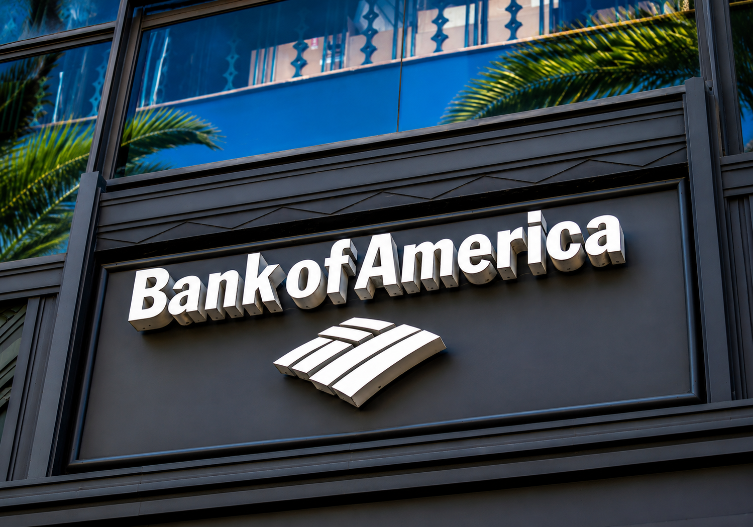 SKN | Bank of America Warns Investor Optimism May Be Running Too Far Ahead